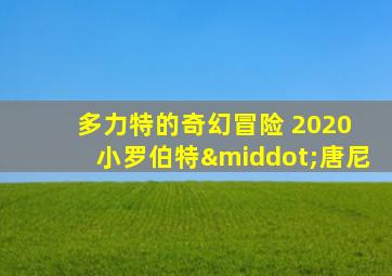 多力特的奇幻冒险 2020 小罗伯特·唐尼